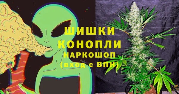 гидра Михайловка