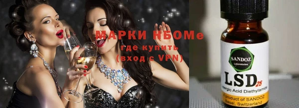 прущие грибы Надым