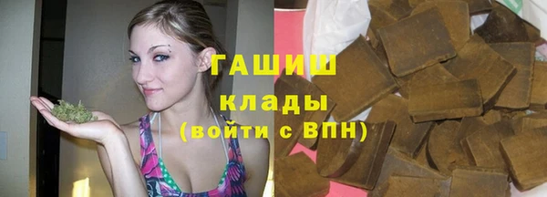 гидра Михайловка