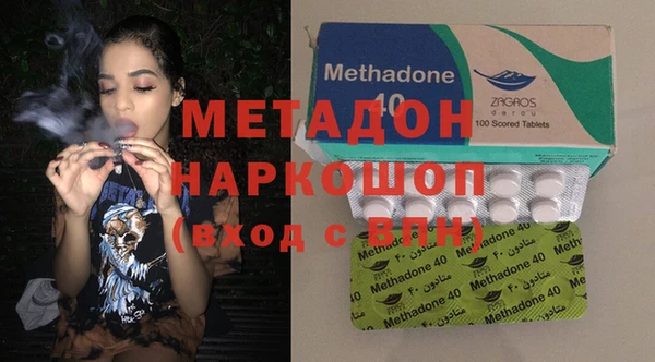 прущие грибы Надым