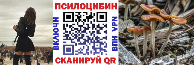 Галлюциногенные грибы MAGIC MUSHROOMS  купить наркотики сайты  omg ссылки  Североморск 