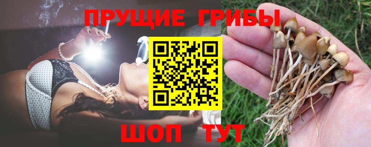 Галлюциногенные грибы Magic Shrooms Североморск